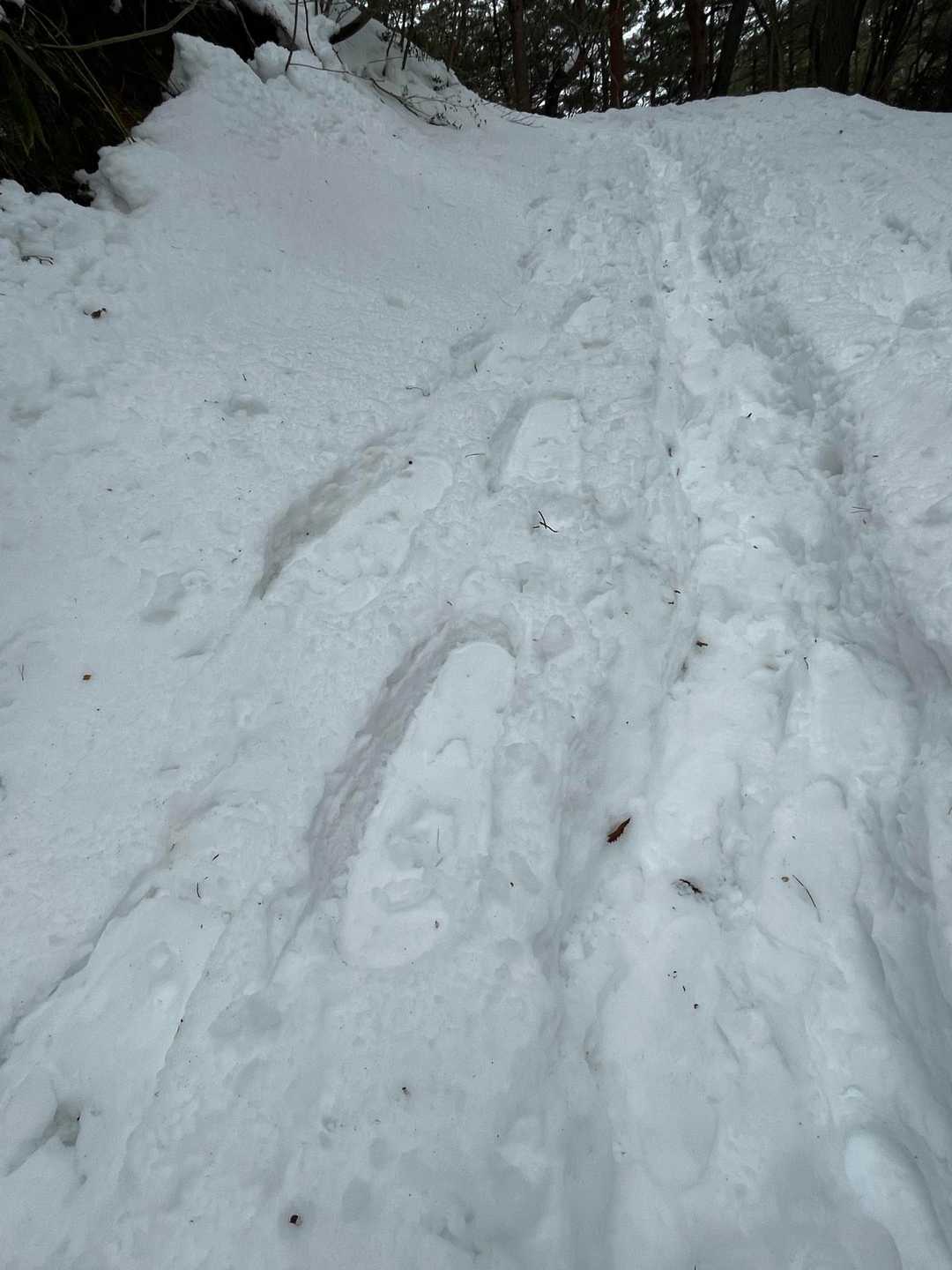 山登りになると、ワカンとスノーシューの跡がコースを案内してくれます。