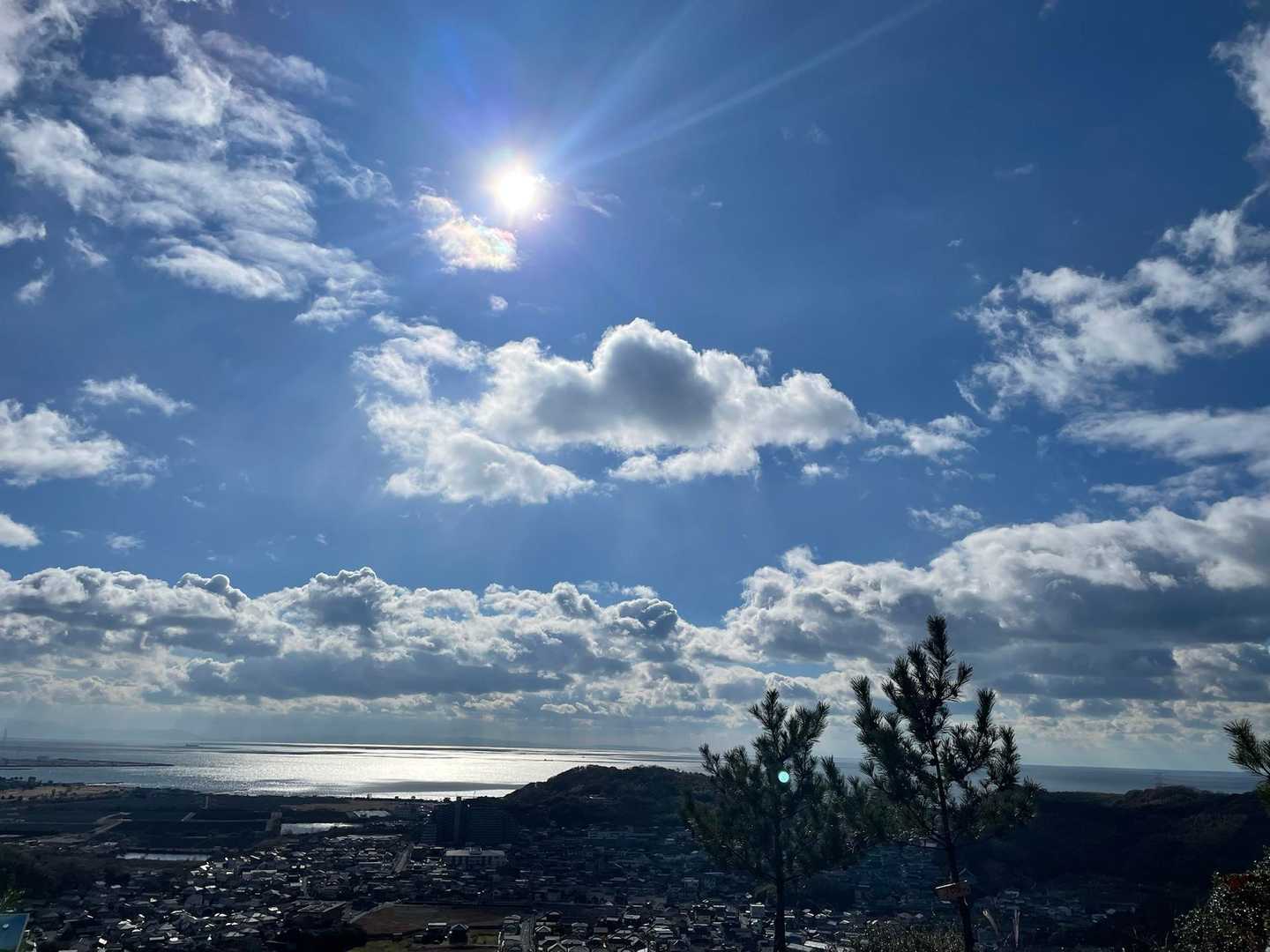 木庭山-向山-坂の山登山口-坂の山-高坪山北登山口-高坪山 周回コースの写真