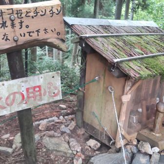 ここからが本日分。林道途中にある山の神の祠。
オコゼの写真もお供えしてあります。