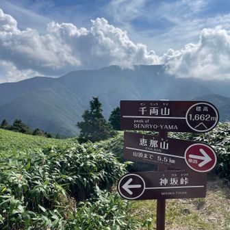 そして再び千両山
なんとかここからの景色も拝めた👍