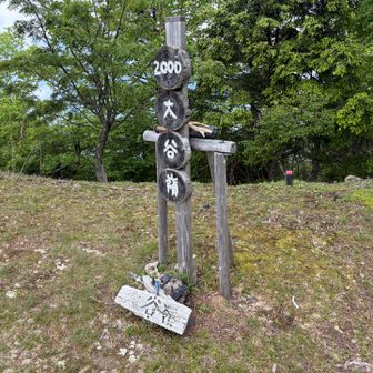 大谷嶺、2,000m。団子標識の後ろに鹿の角が置いてある。