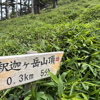 釈迦ヶ岳山頂まで5分