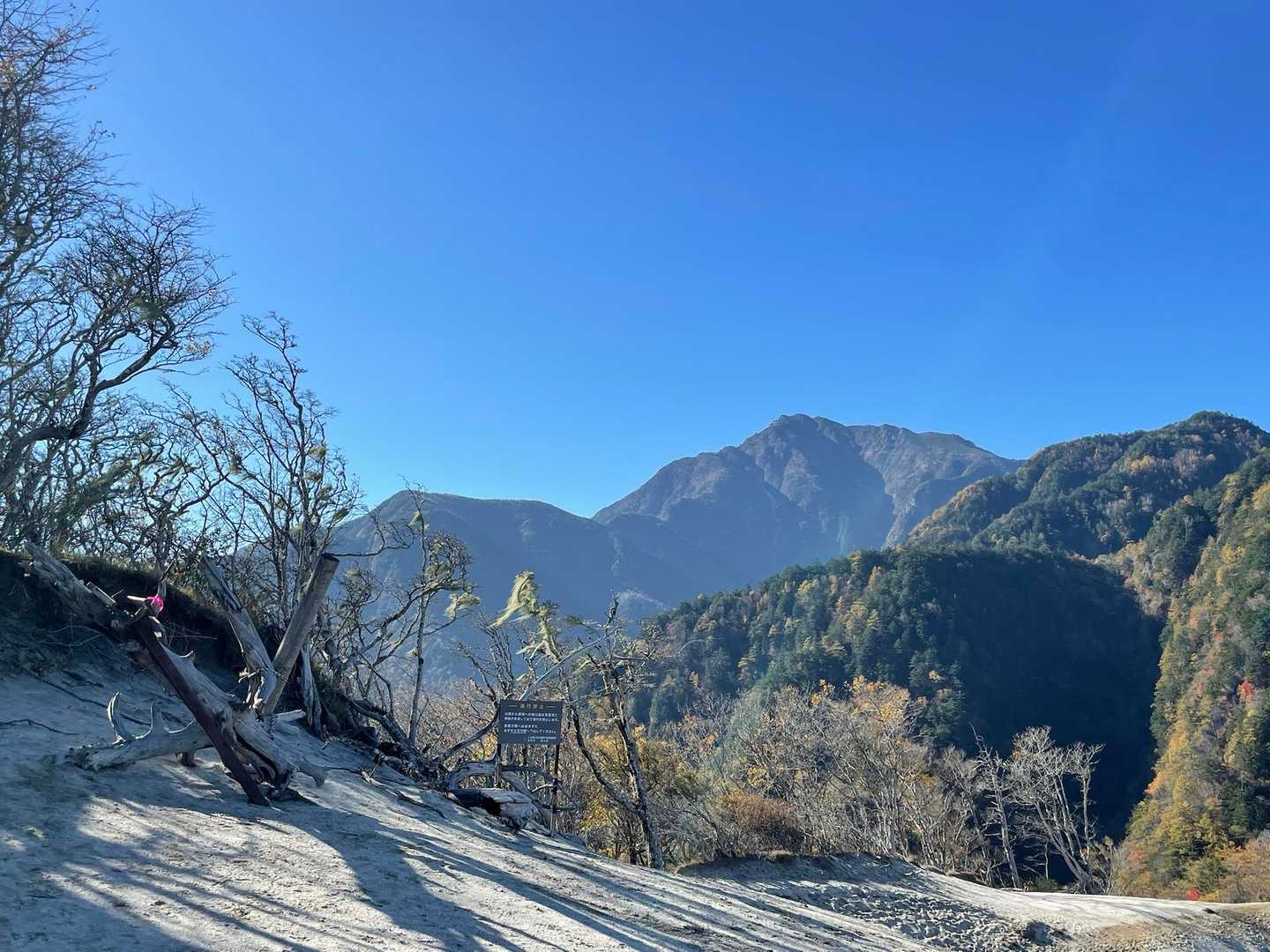 反対側に甲斐駒ヶ岳⛰️✨