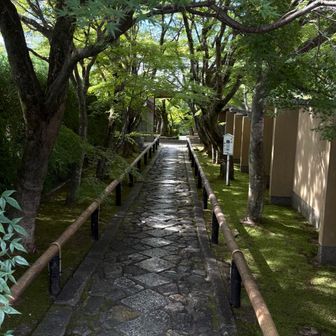 源光庵前のバス停集合　本日5名で出発
光悦寺門前でパチリ📸
秋には🍁で人を集め写真も撮らせてくれませんが　
今日は自由です