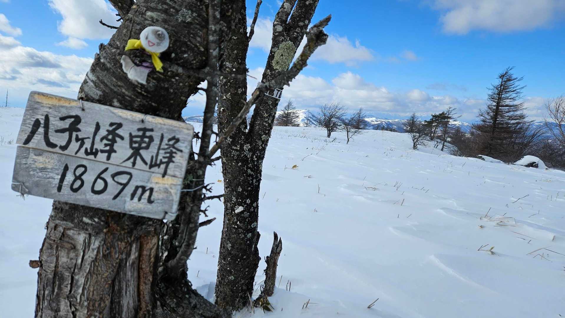 更に進む