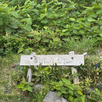 山頂到着。真っ白です。
