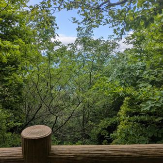 残念でした。
下山します