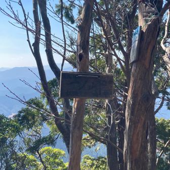 一ノ峰🏔️山頂