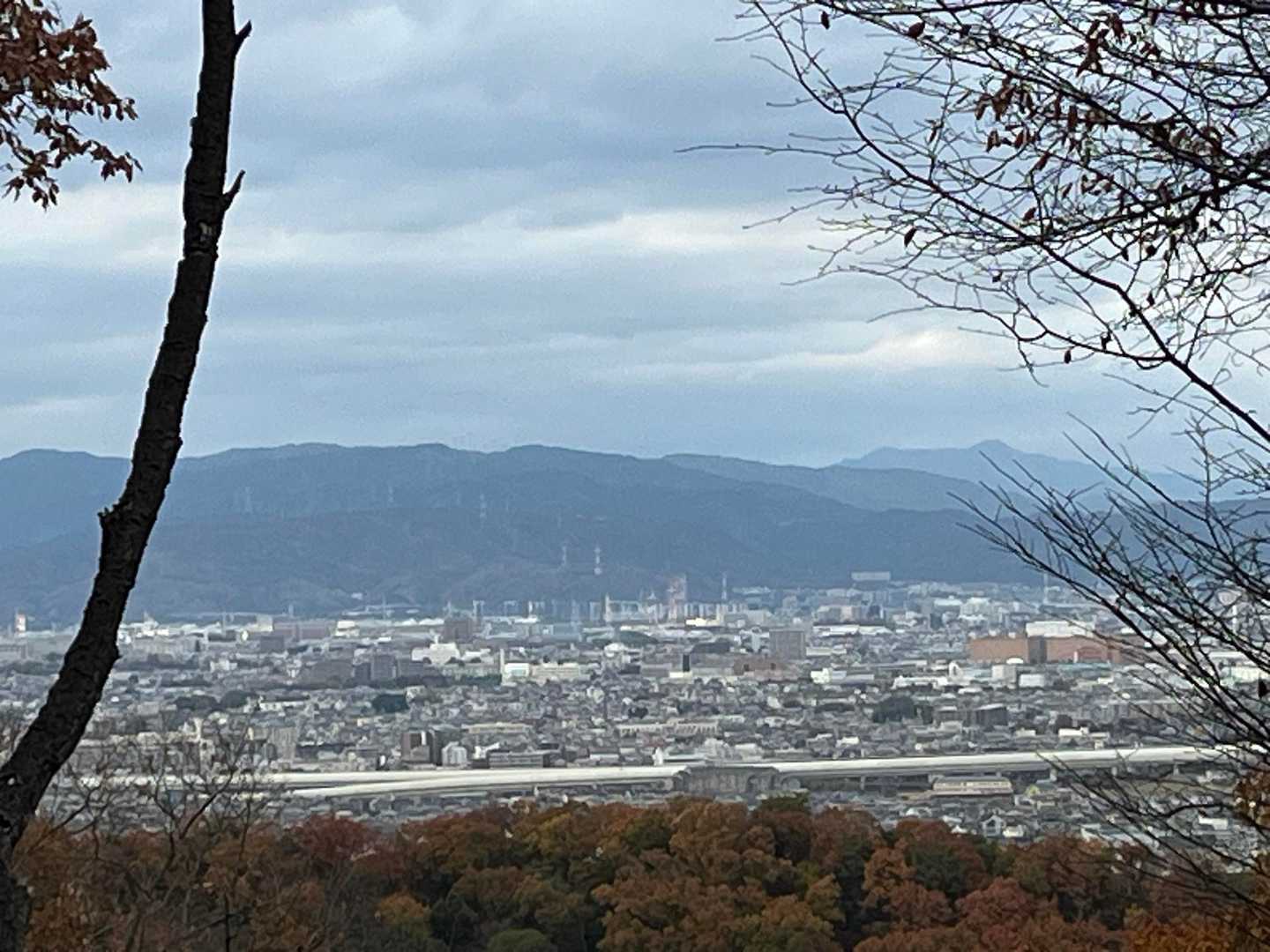 愛宕山が見えました⛰️
