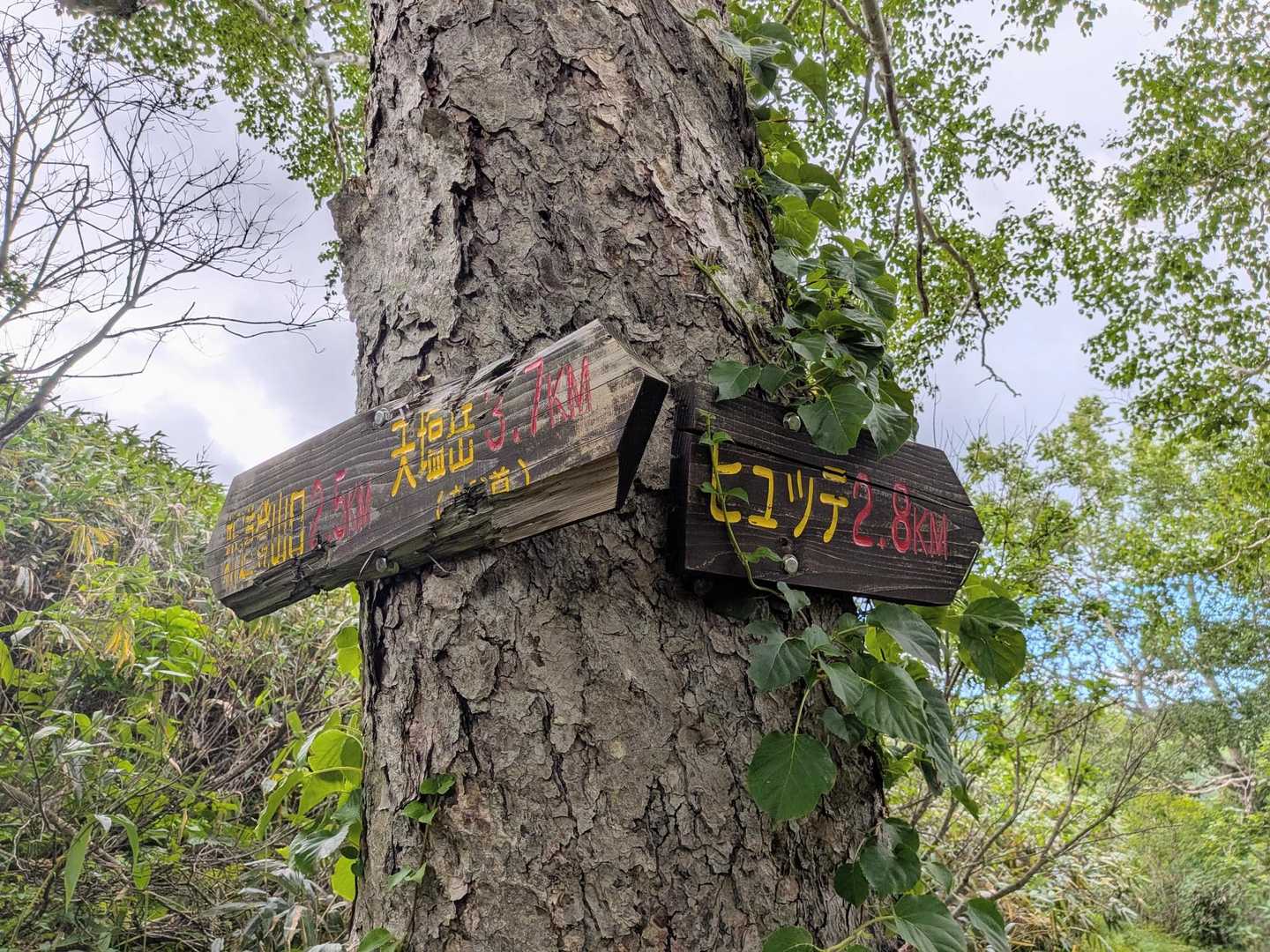 どんどん下りてきましたが、あと2.8…
長っ！まだ暑っ🥵！
でもこの後、皆で無事下山できました。
盛りだくさん、天塩岳最高でした🤩!!