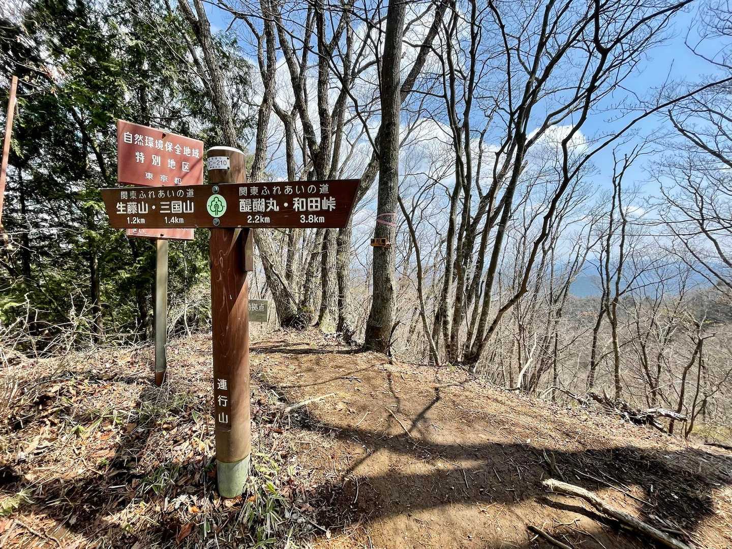 鎌沢入口バス停-軍刀利神社-佐野川峠-茅丸-連行峰-醍醐丸 縦走コースの写真