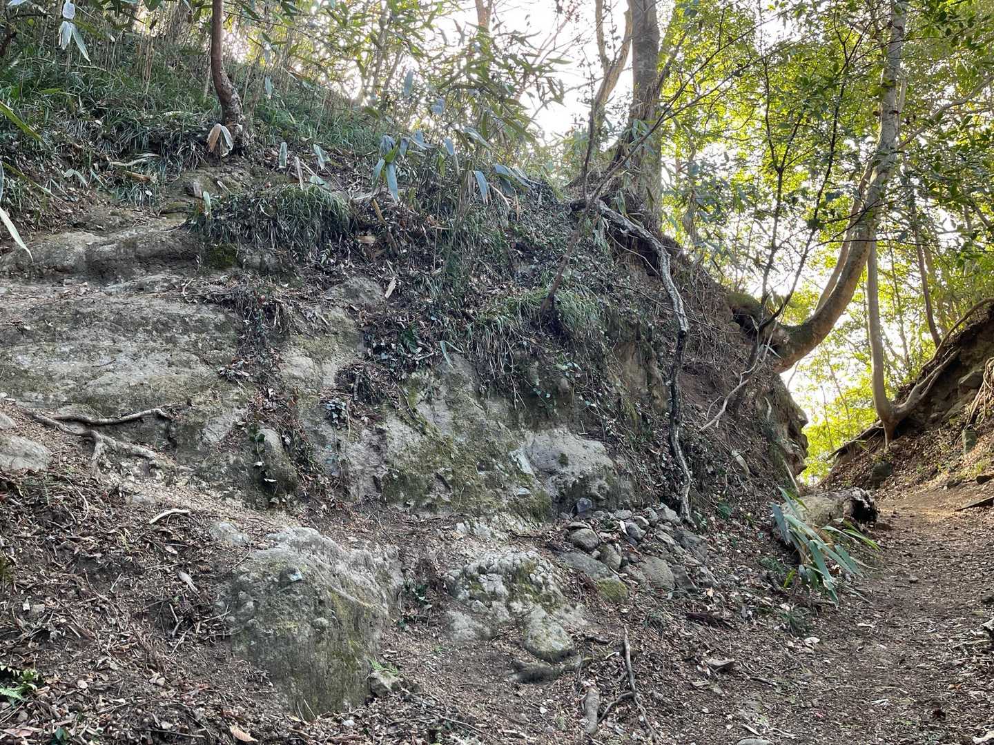 ココは分岐。左手に登ります。登って直ぐが狭く崩れていました。下山時に勢いがあると危ないかも