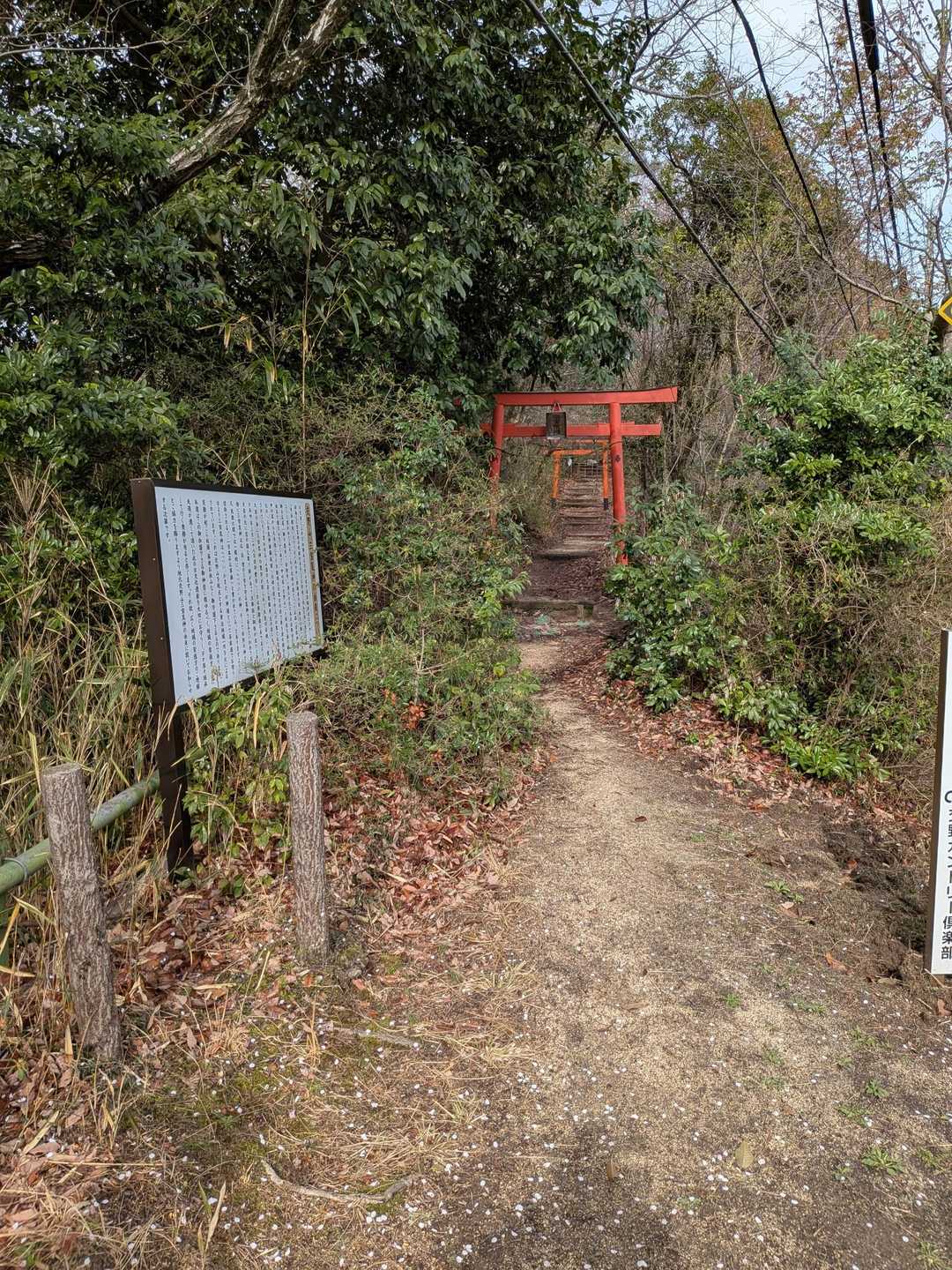 交野山-国見山 往復コースの写真