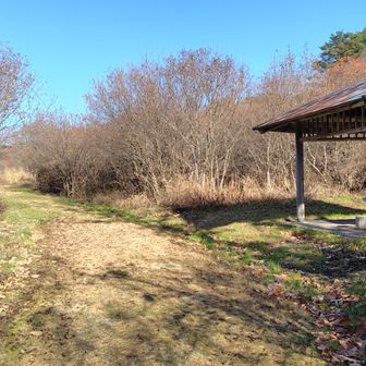 おじさんに別れを告げ、先に進みます。