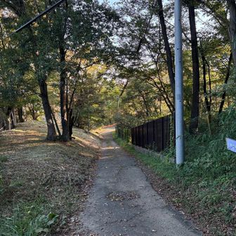 平山城址公園内の尾根筋