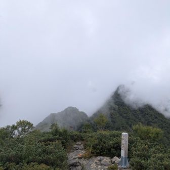 明日の朝に来たい