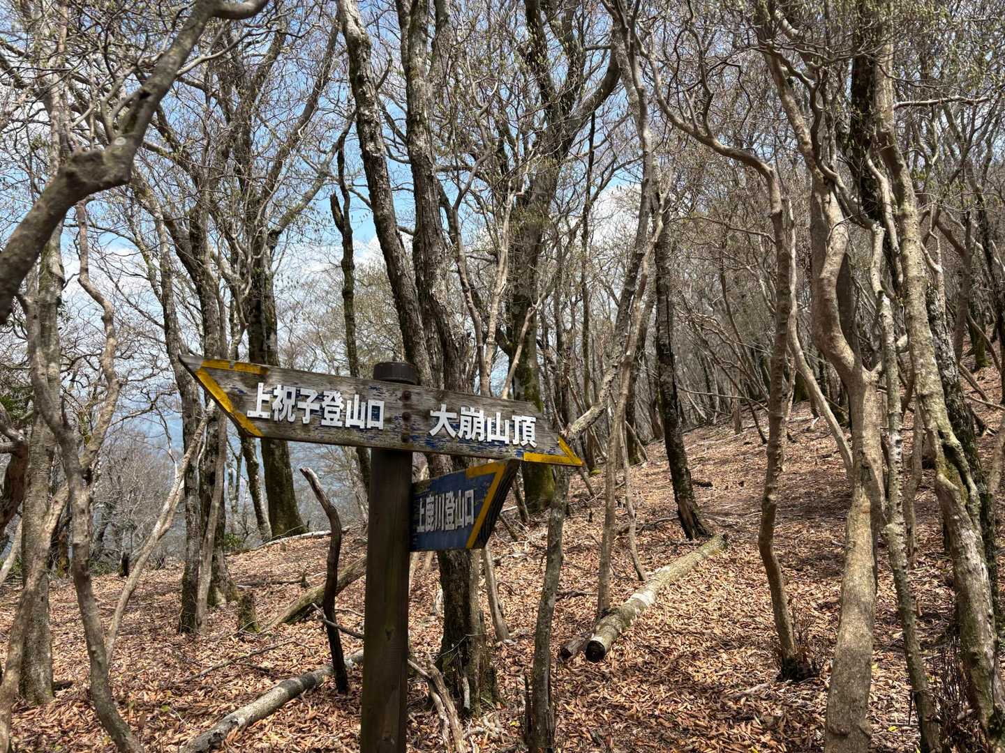 宇土内谷登山口-大崩山 往復コースの写真