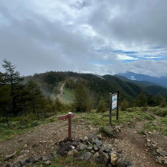 ガスが抜けて歩いて来た山道がみえました！
