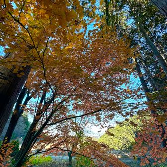 昔は池で、公園があったらしい。