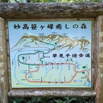 今回はうさぎコース+アルファ