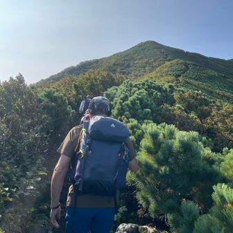 まだまだ利尻山見えません　まず長官山目指して