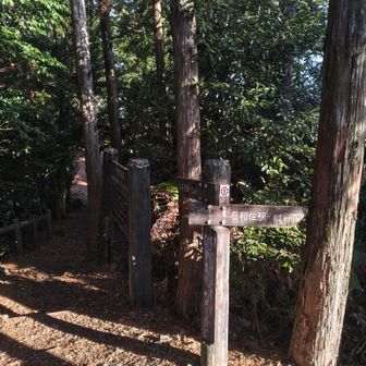 もう引き返したい😂