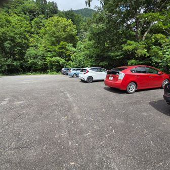 今回停めた駐車場🅿️
ここはガラガラ