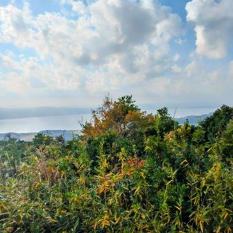 宍道湖の眺め♥️