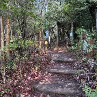 昨日の雨で登山口からは足元悪い