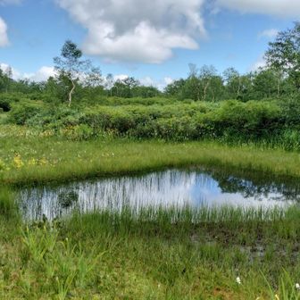 🩷✨️