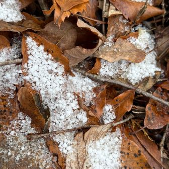 ここから富幕山へ

昨日の雪の名残が