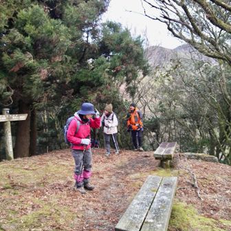 🏯筑前芽城跡790mにおつき...