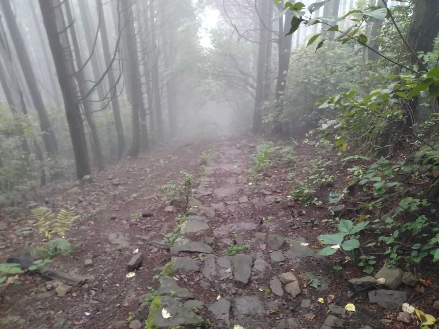 階段濡れて滑りやすい〜
気を付けて下らないと
（この後平坦な道で派手に転んでしまいました😓）