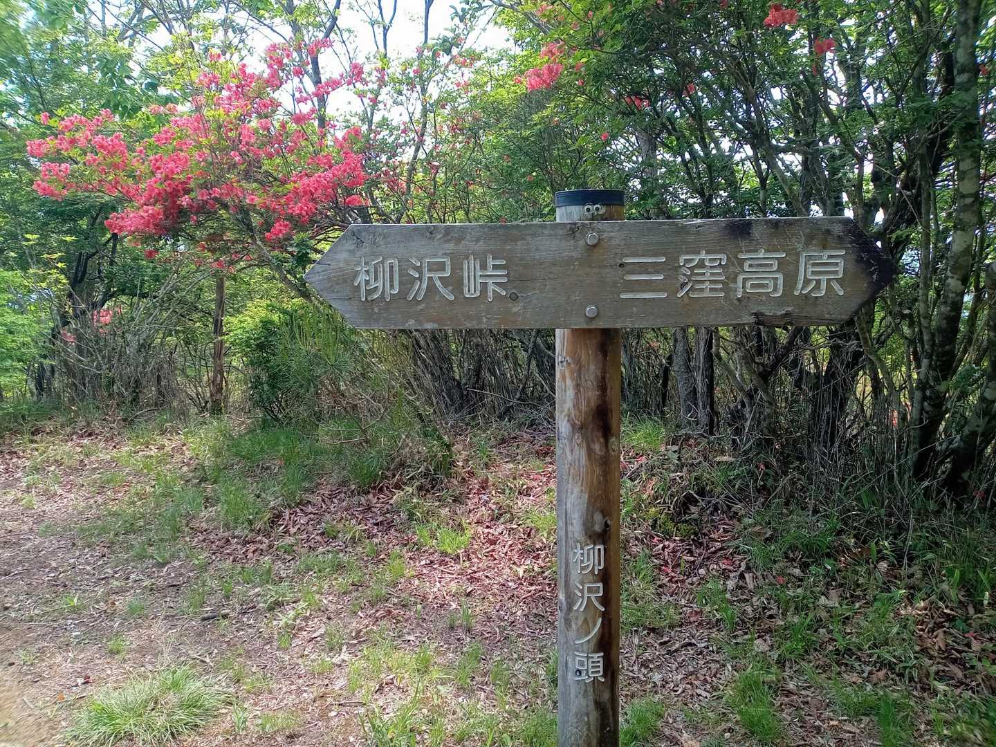 柳沢ノ頭