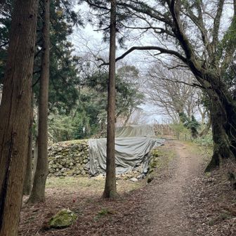 二の丸の先には温井屋敷や桜の馬場。2024年の能登半島地震のため崩落した道や石垣もあり、一部は通行止めや修復中でした。