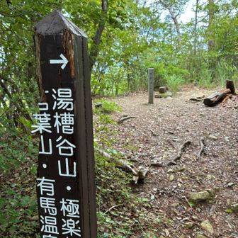 有馬二山目、通過！