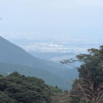 ひょっとして日南市？