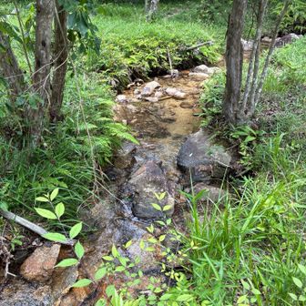 素敵なとこです。気合い入れてカキラン探さねば
