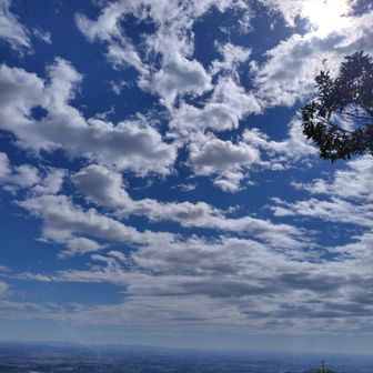 空がこんなに高い。秋だな。