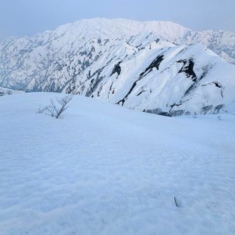 振り返ると、二王子岳🥰
この辺りにテント張ってモルゲンとか堪能できたら最高過ぎます🥹次来るとしたら⛺️かな
雪の残ってる2月〜3月頭くらいが綺麗かも！