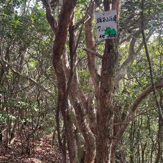 ほどなく西峰に到着