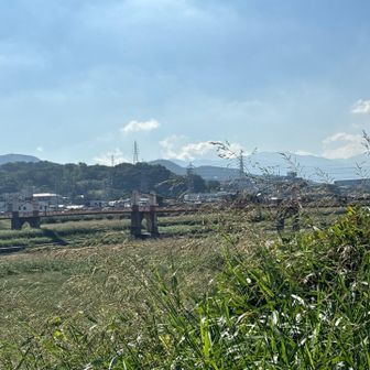 玉手橋　映画国宝ロケ地