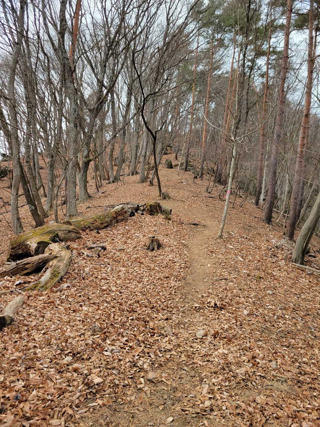 兜山周回 | クライマー集う岩壁の先、木々の隙間から覗く富士の特別感の写真