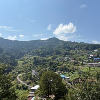 さっきまでいた皇鈴山。