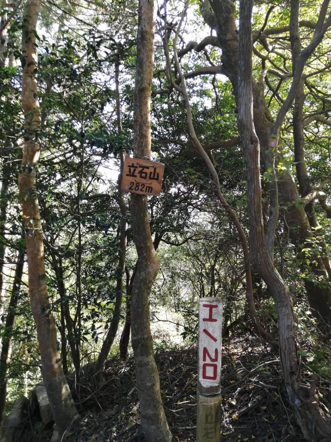 ラスト5座目の立石山山頂✨
さぁ、今度は藪を通りたくないので、希望ヶ丘へ下山します😊
