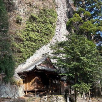 岩に🪨　張り付いてます
ってか
埋まってます🫣