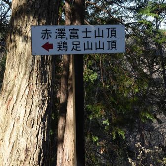 赤沢富士山頂到着