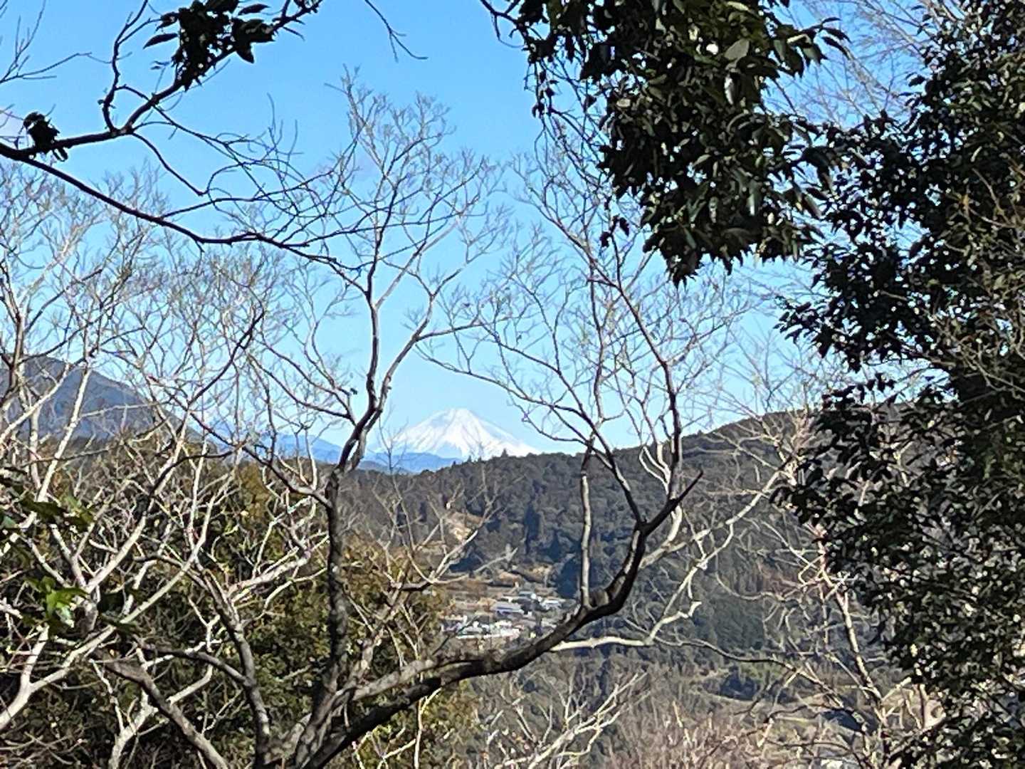 木の間から富士山🗻が見えるよぉ😃
ここでも富士山が見られて✌️