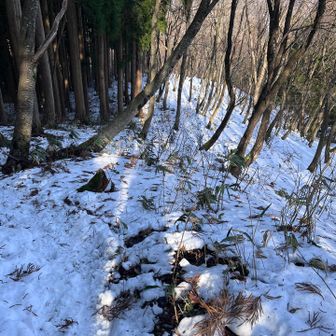 この辺も
残雪期の3月みたいな感じ⁈