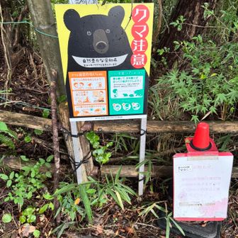 熊🐻注意⚠️